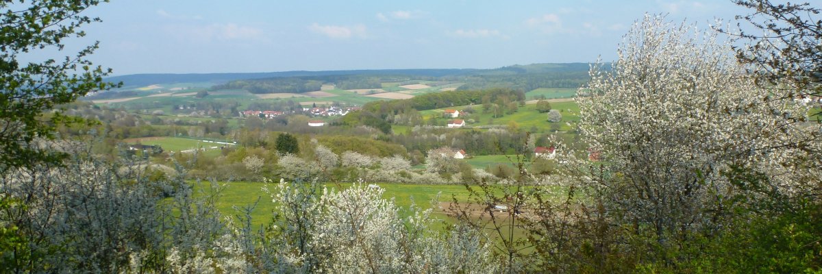 Sie sehen ein leuchtendes Getreidefeld in der Gemeinde Hosenfeld.